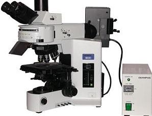 Optical-microscope-300